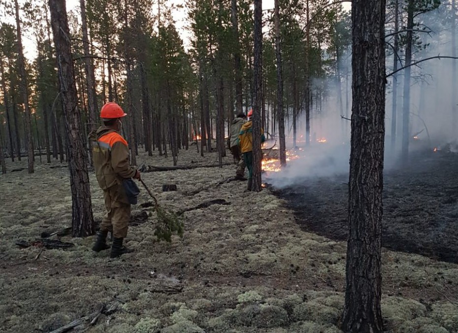 Тринадцать лесных пожаров тушат в Якутии по состоянию на 22 июля