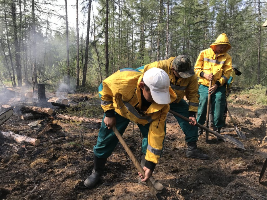 Оперативная информация о лесных пожарах на 18 июля