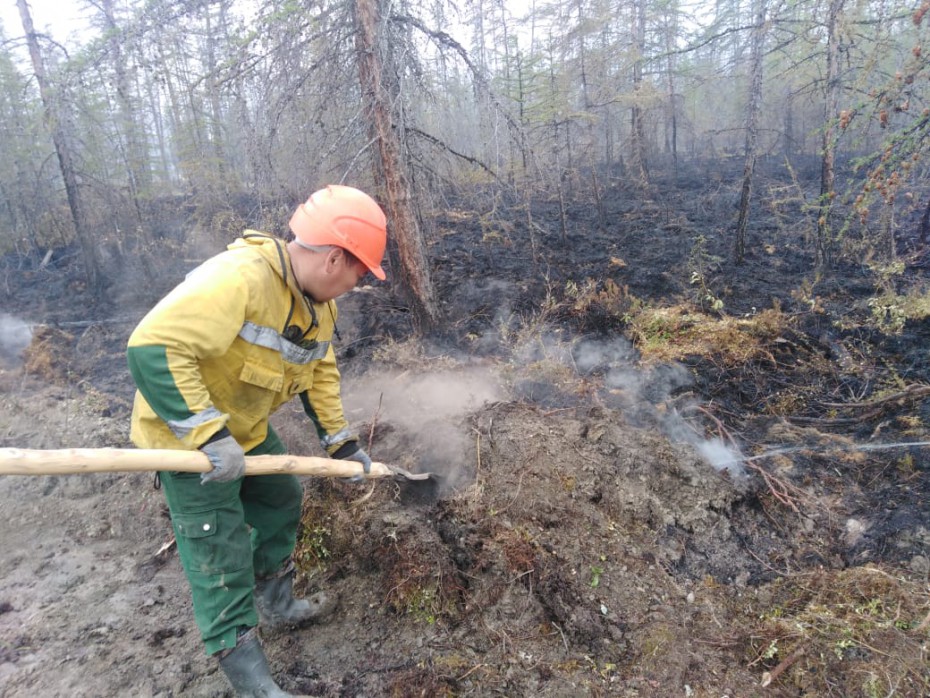 В Республике ведутся работы по тушению 13 лесных пожаров