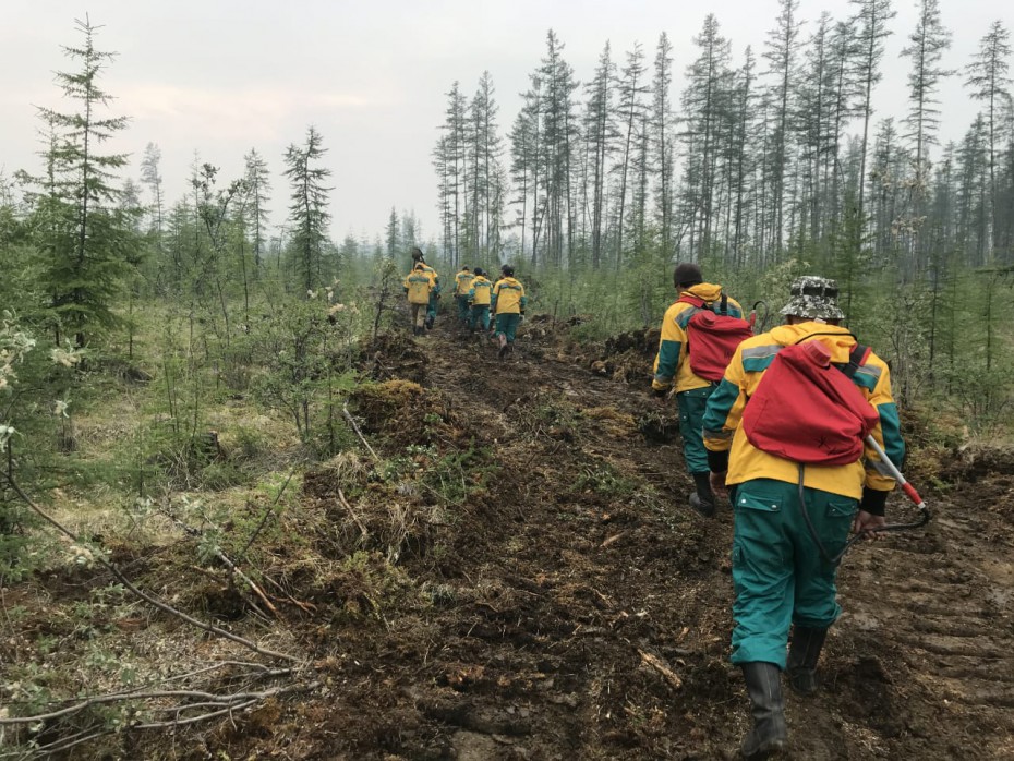 Оперативная информация о лесных пожарах на 12 августа