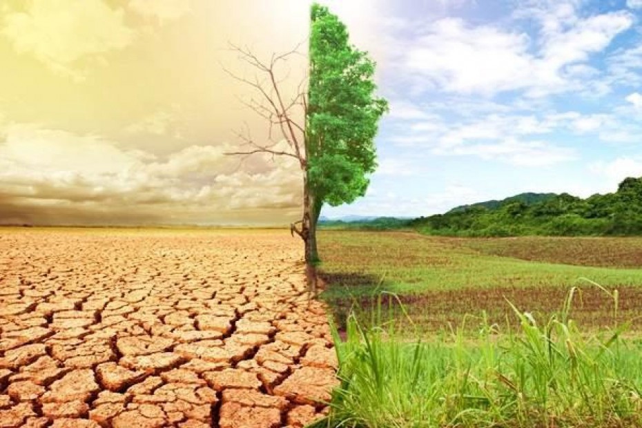 Монокультурный путь развития сельского хозяйства ведет планету к климатической катастрофе