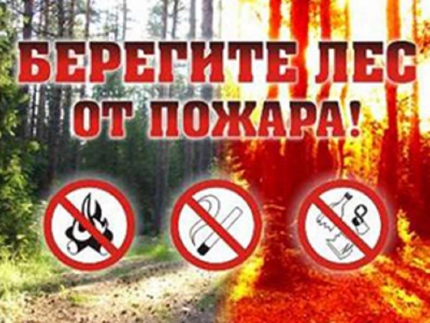 МЧС: соблюдайте правила пожарной безопасности в лесах!