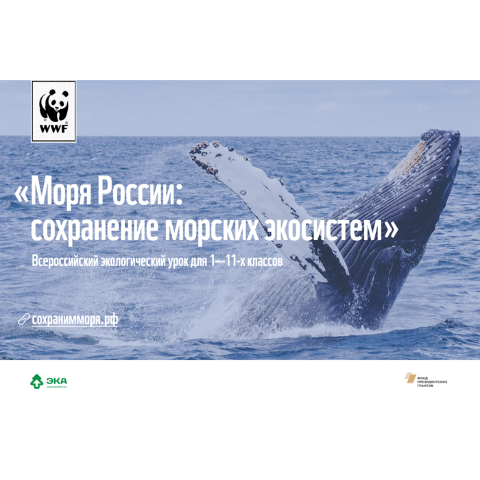 Учителей Якутии приглашают провести экоурок о сохранении морских экосистем