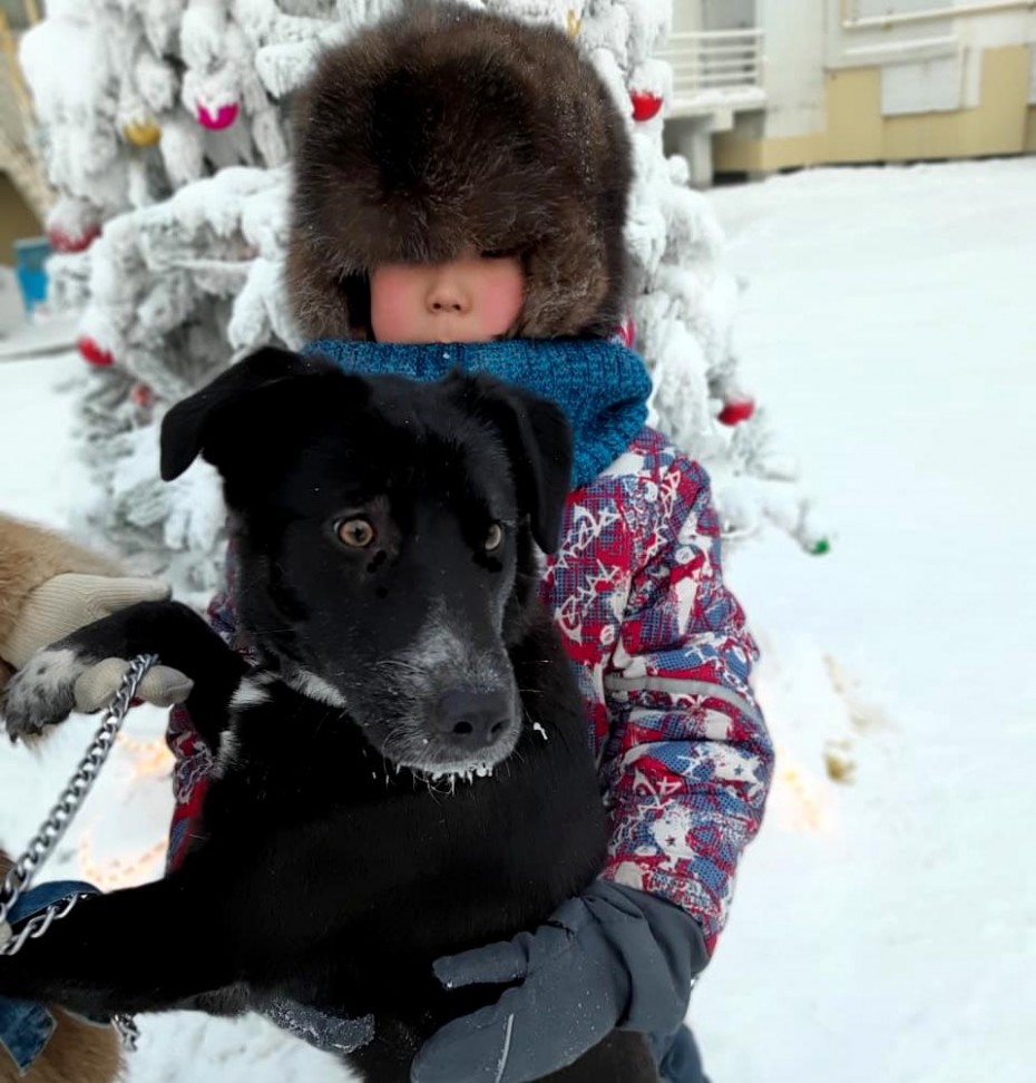 В Якутске росгвардейцы нашли и вернули хозяевам собаку, пропавшую в новогоднюю ночь