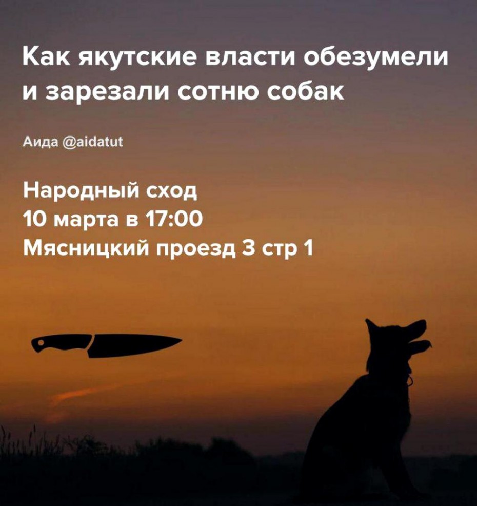 «Зажжем свечу за бедных животных!»: В Москве планируется акция зоозащитников у Посредства Якутии