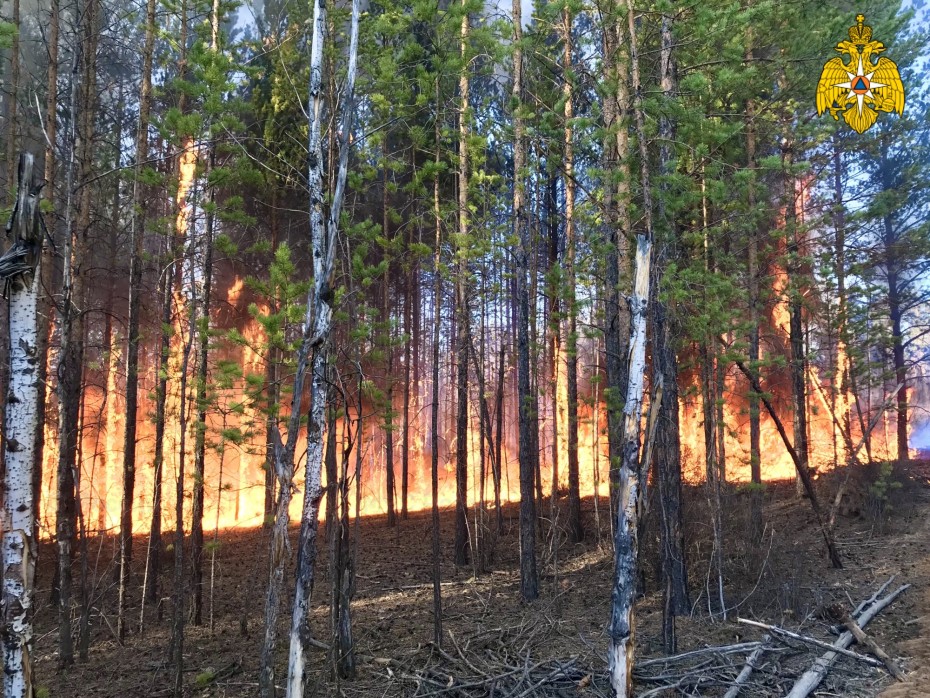 В Якутии определены сроки введения пожароопасного сезона