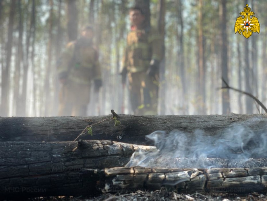 На территории Якутии действует 10 природных пожаров