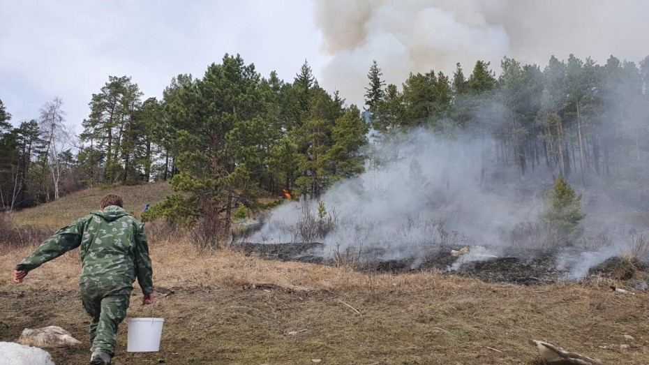 Волонтеры в Якутии своими силами предотвратили лесной пожар