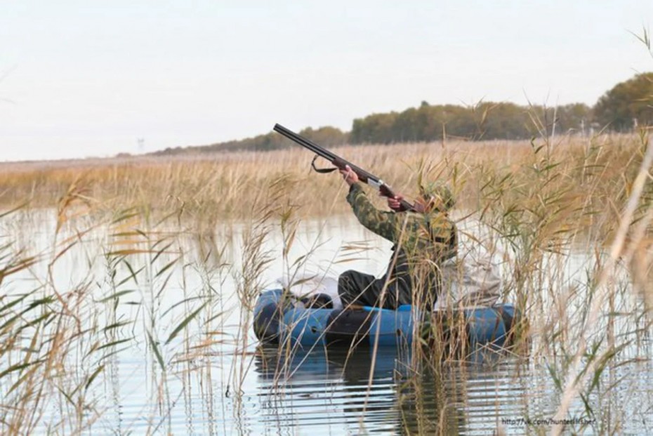Сроки охоты на водоплавающую дичь в Якутии  в 2020 году