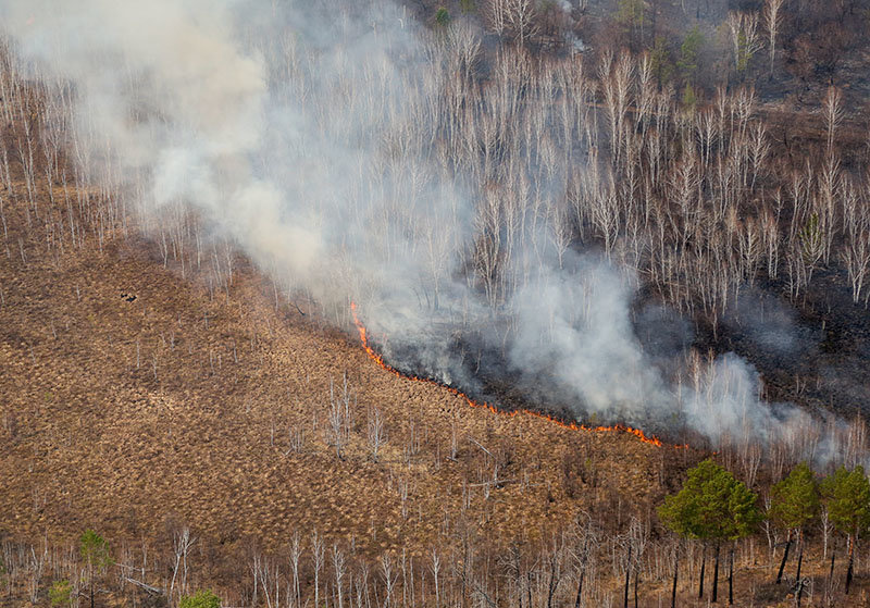 По состоянию на 26 мая в Якутии действует 16 природных пожаров