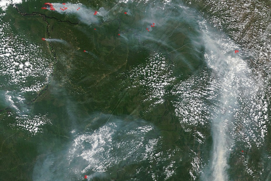 Оперативная информация о лесных пожарах в Якутии на 30 июня