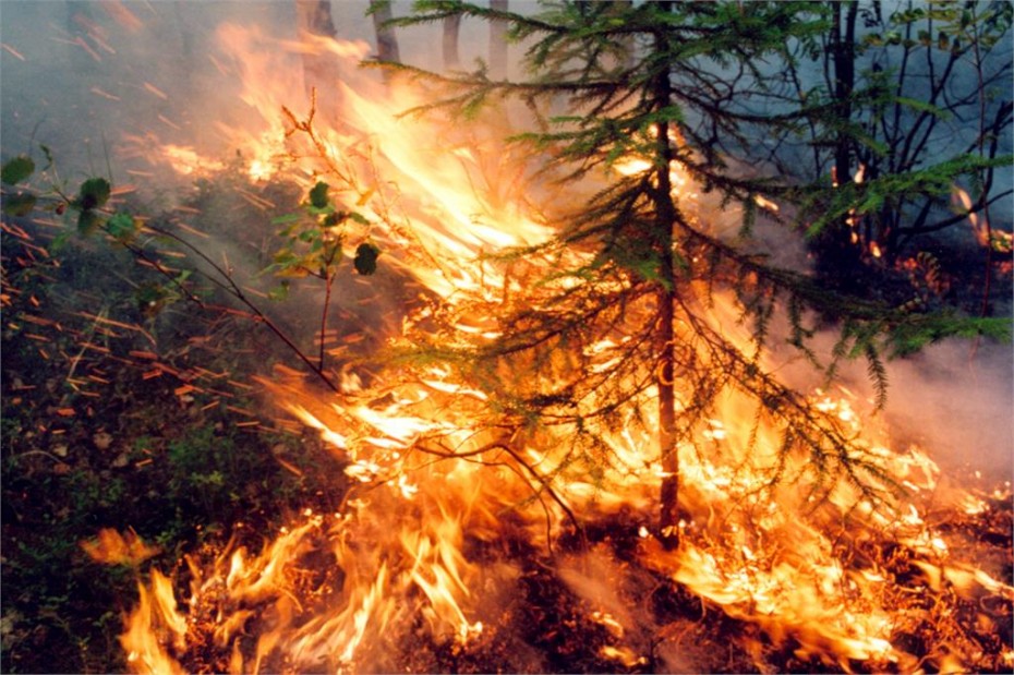 На территории Якутии действует 6 природных пожаров