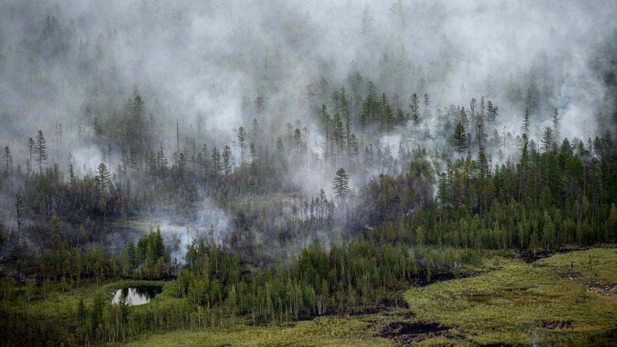 На территории Якутии действует 167 природных пожаров