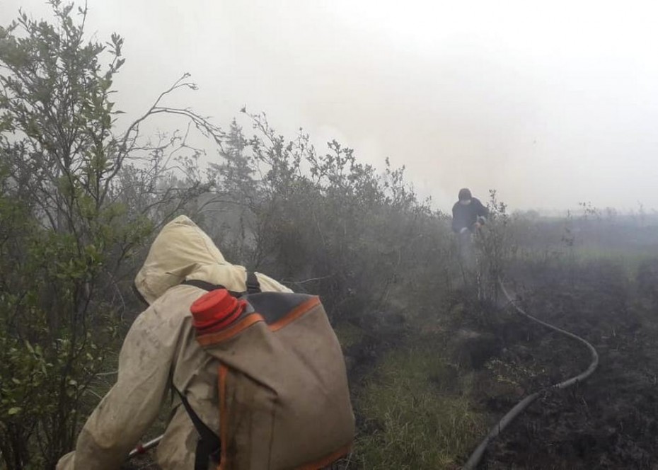 В селе Эбях Среднеколымского района возобновился ранее локализованный лесной пожар