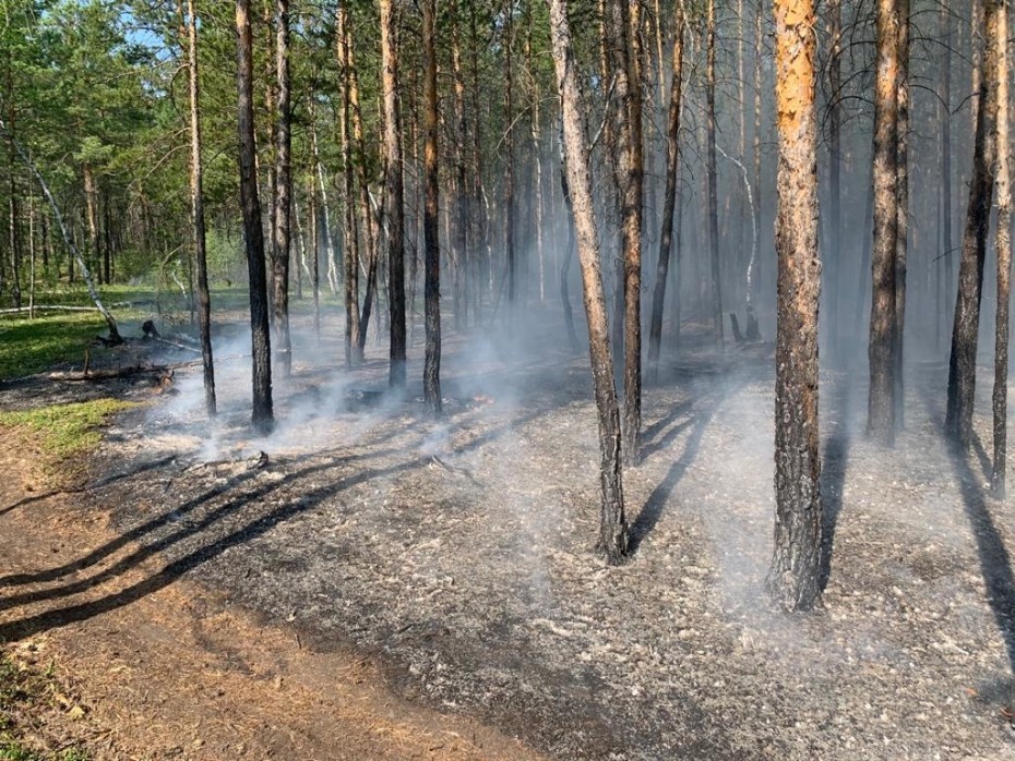 На территории региона действует 87 природных пожаров
