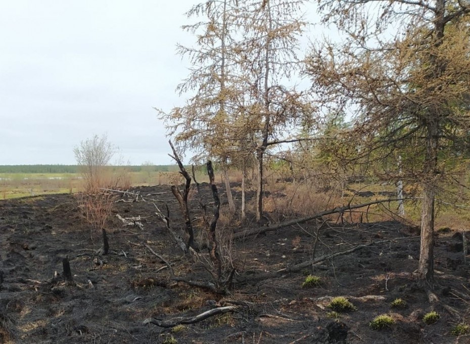 На территории Якутии действует 110 природных пожаров