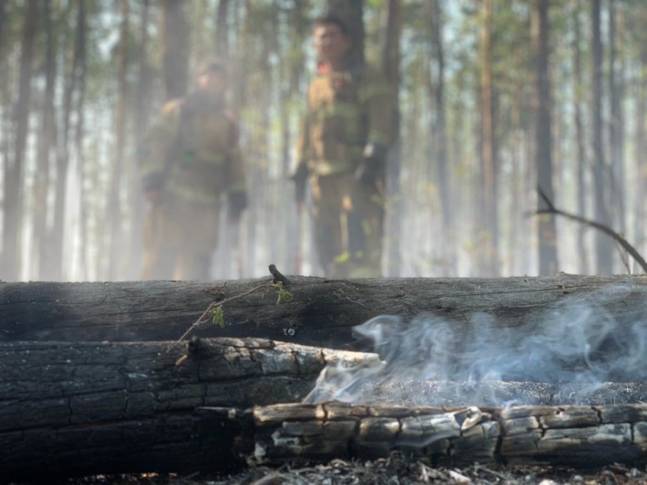 На территории Якутии действует 106 природных пожаров
