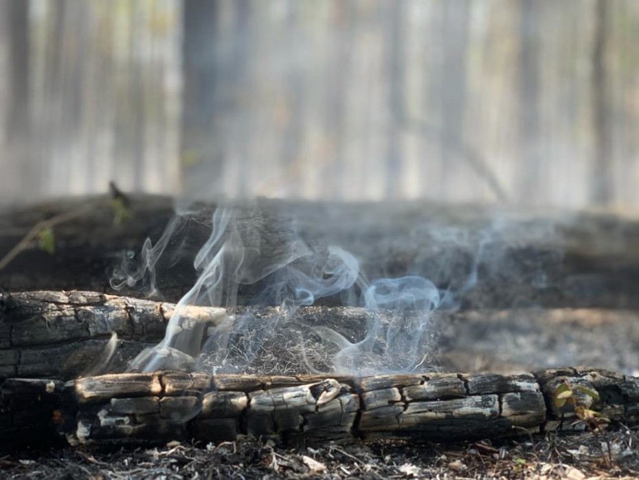 На территории Якутии действует 157 природных пожаров