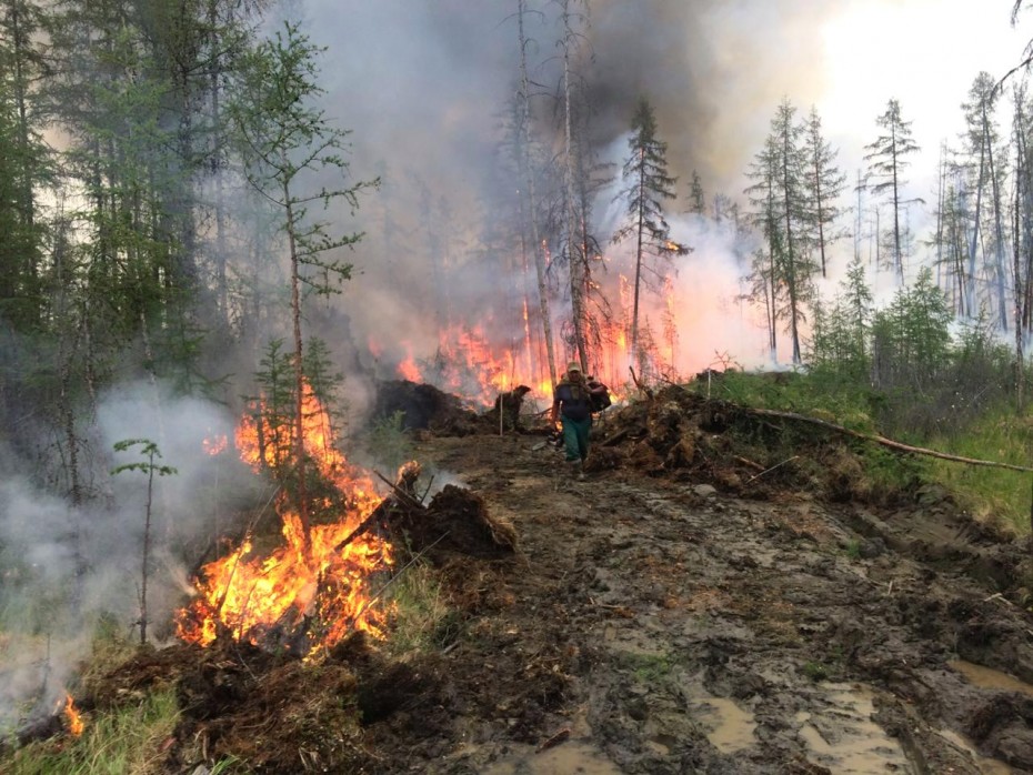 Якутия получила дополнительные средства в размере 480 млн руб на тушение лесных пожаров