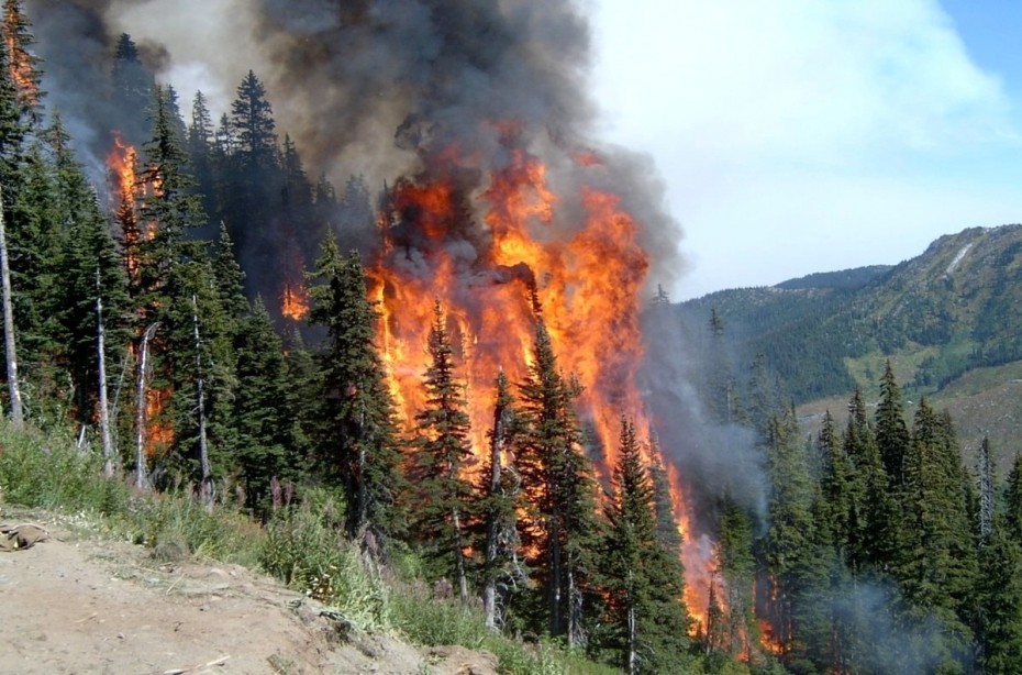 В Якутии действует 138 природных пожаров, за сутки 48 ликвидировано -  Новости Якутии - Якутия.Инфо