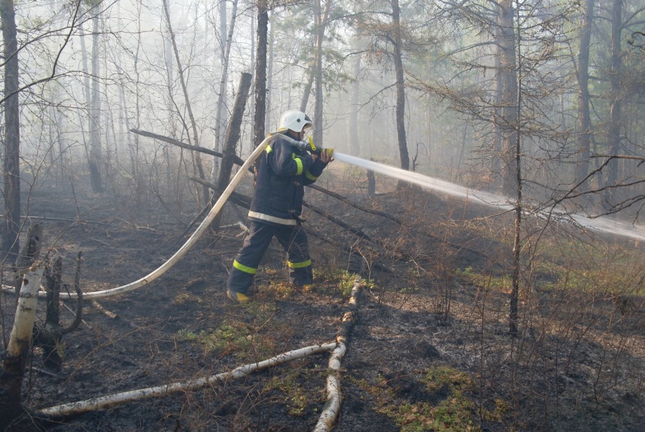 На территории региона действует 60 природных пожаров