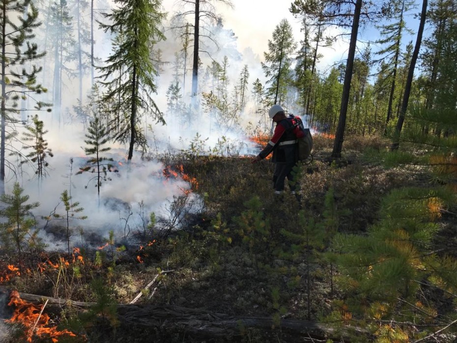 30 сотрудников ЯТЭК участвовали в ликвидации лесного пожара