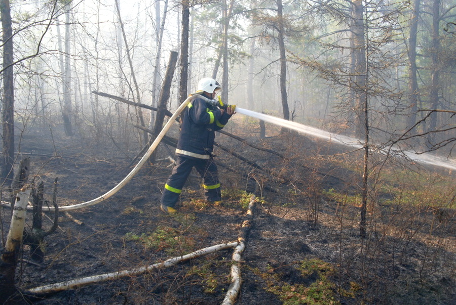 На территории Якутии действует 60 природных пожаров