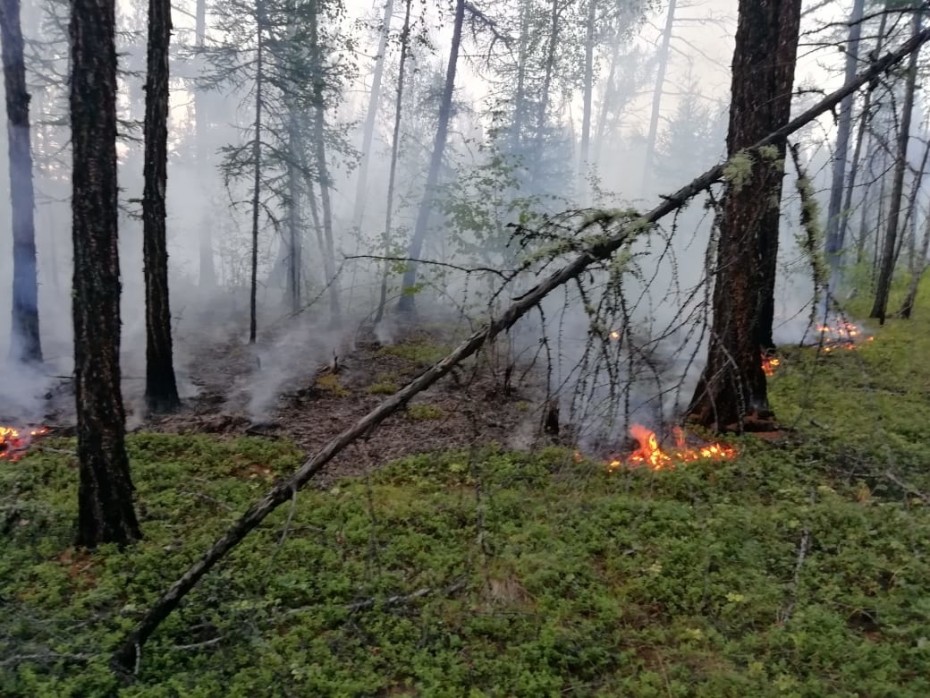 На территории Якутии действует 51 природный пожар