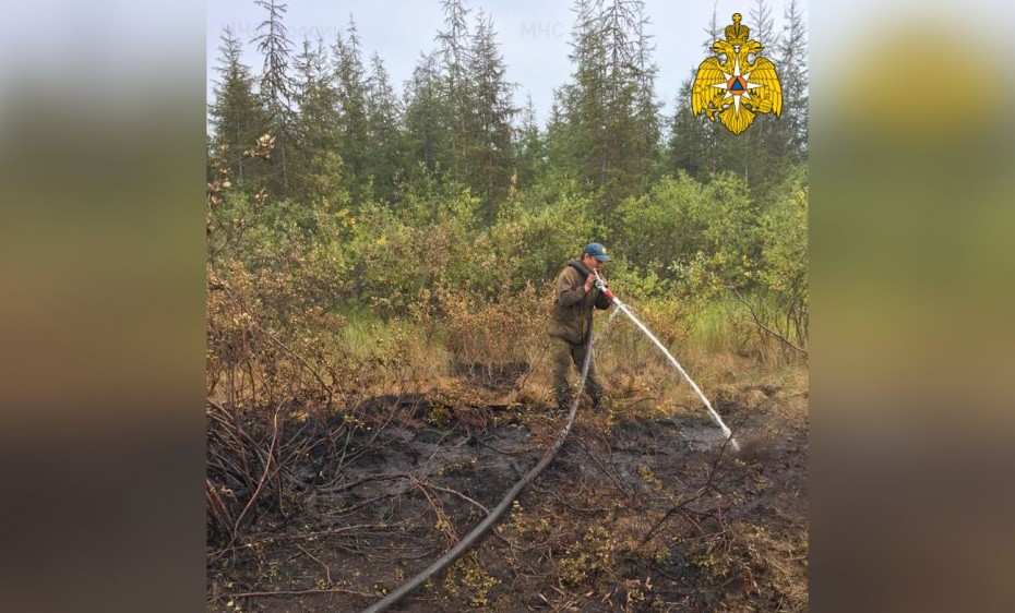 На территории Якутии действует 130 природных пожаров