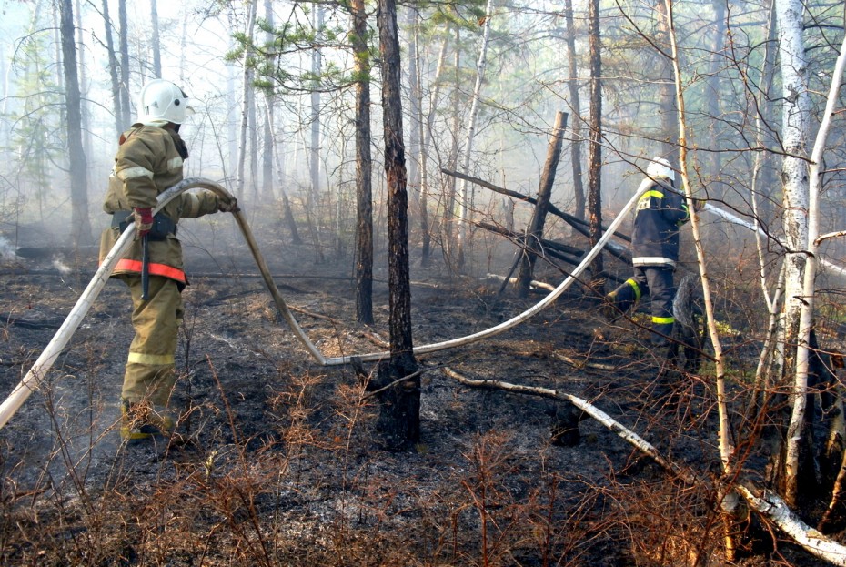На территории Якутии действует 45 природных пожаров