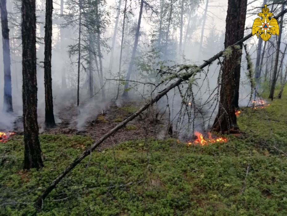 На территории Якутии действует 45 природных пожаров