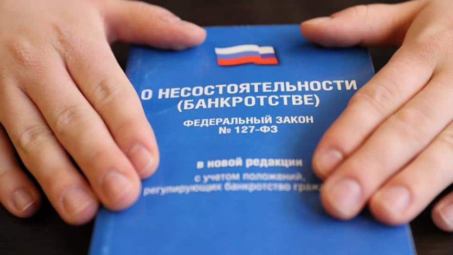 У россиян появилась возможность проходить процедуру банкротства бесплатно и без обращения в суд