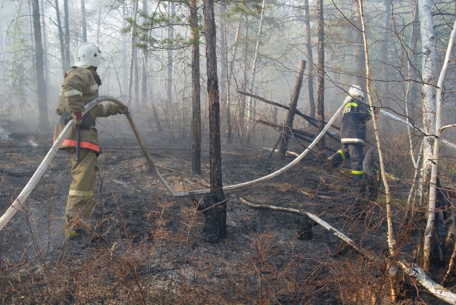 На территории Якутии действует 21 природный пожар