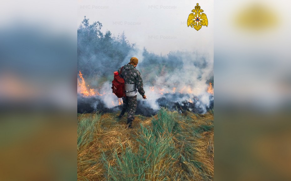 На территории Якутии действует 23 природных пожара