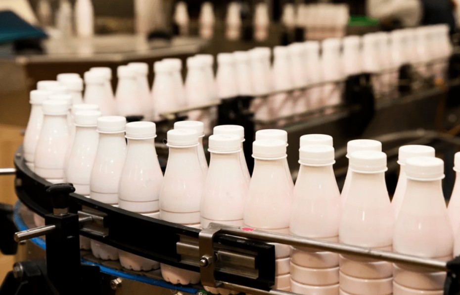 Полностью уничтожена из-за нарушения санитарных норм молочная продукция сельхоз предприятия «Майа»