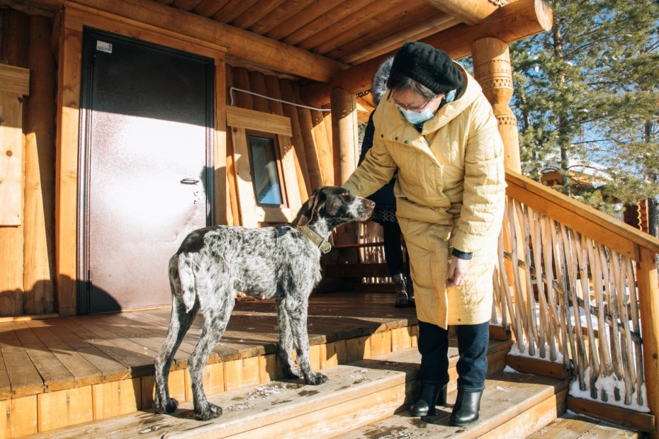 Бродяги приходят не из леса: Месячник по регистрации домашних животных стартовал в Якутске