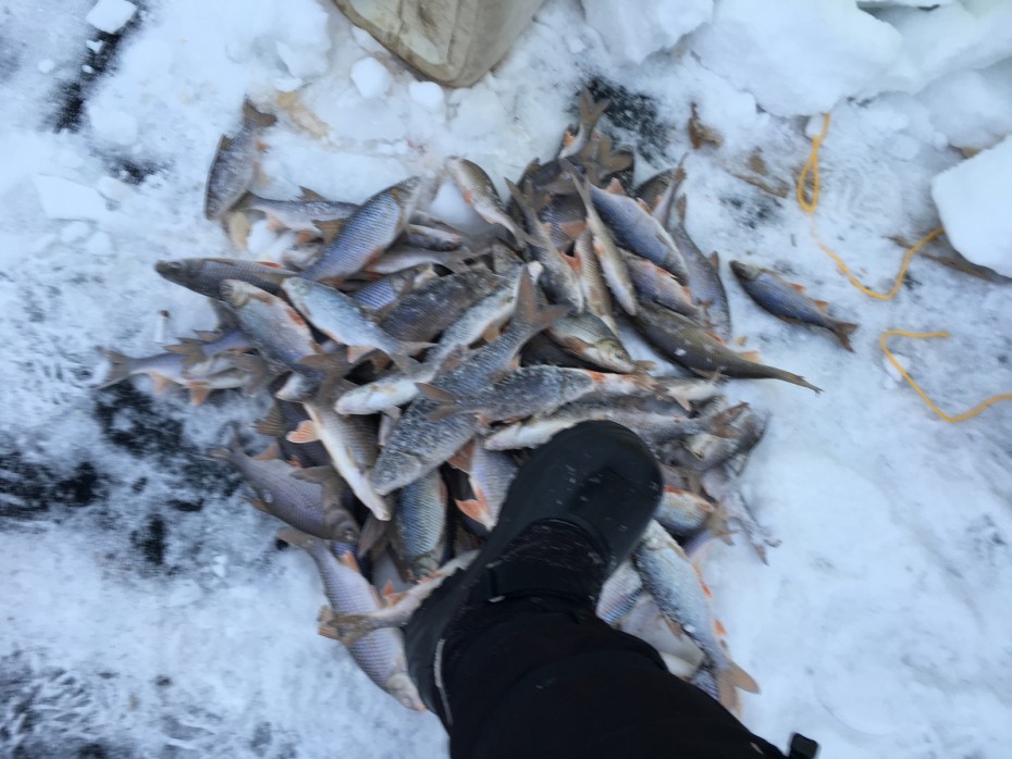 Прокуратура Чурапчинского района отменила незаконный запрет на рыбалку в одном из поселений района