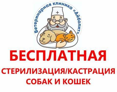 В Якутске идет бесплатная стерилизация собак и кошек
