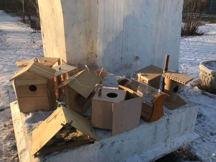 Школьники и учителя разместили кормушки для птиц в городском сквере Якутска