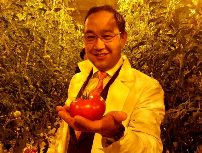 Сырдахские помидоры появятся на прилавках Якутска массово через два года
