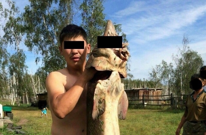 Рыбак из Якутска поймал не ту рыбу и заплатил штраф