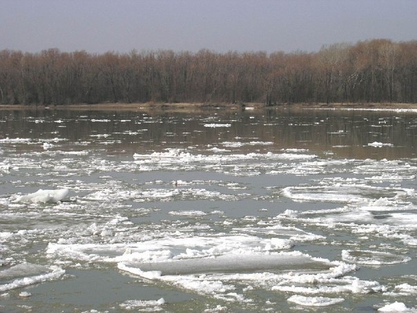 ГИМС предупреждает: на реках началось ледообразование