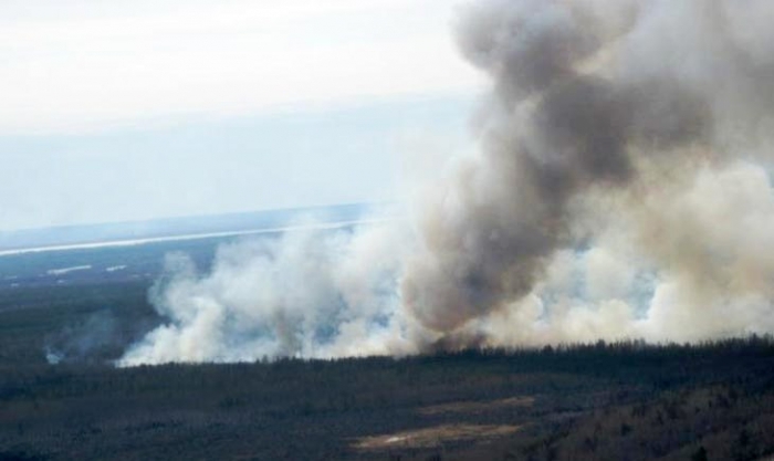 В Якутии на 24 июля действует пять лесных пожаров