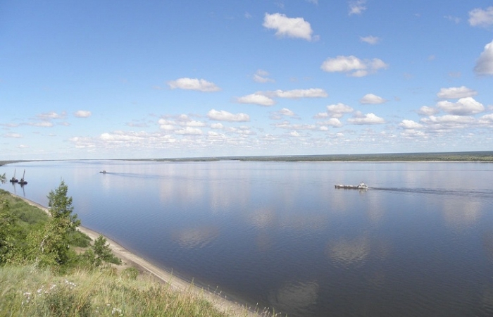 Стоимость моста через реку Лена в Якутии сократили с 64 до 54 млрд. рублей