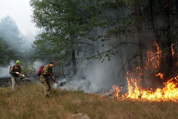В Якутии на 21 июля действует десять лесных пожаров