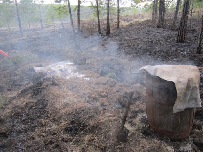 Госпожнадзор установил 13 человек, причастных к возникновению лесных пожаров