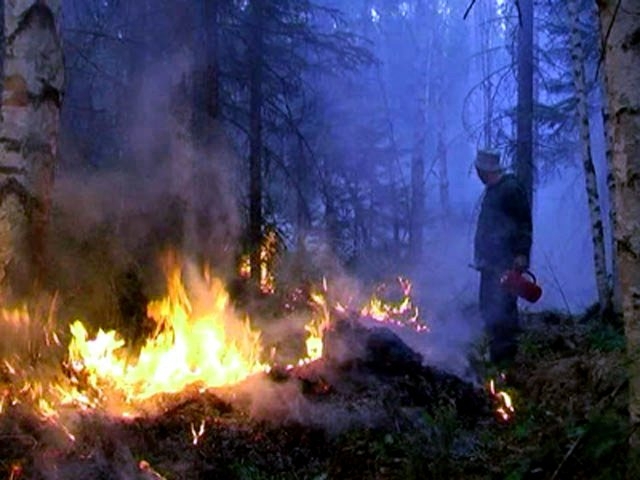 Особый противопожарный режим введен в Якутске