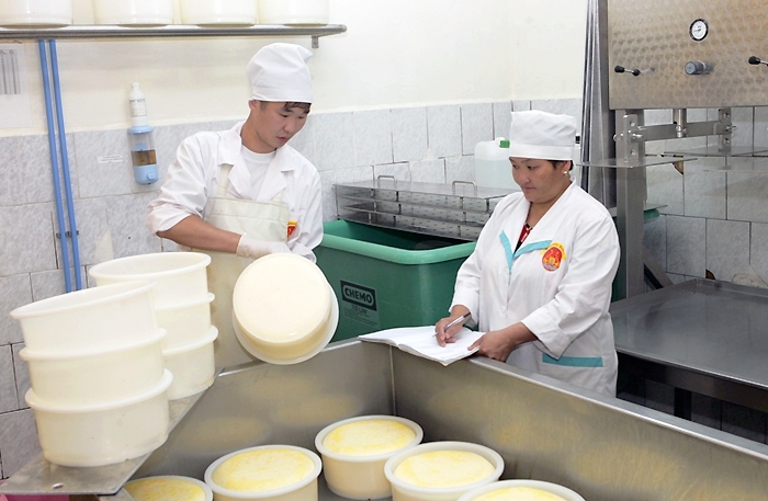 Биосметана, тонны сыра и масла: выявлены лучшие агропромышленные работники Якутии
