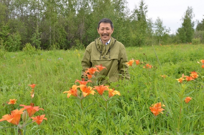 Цветы Сардаана глазами фотографа - Новости Якутии - Якутия.Инфо