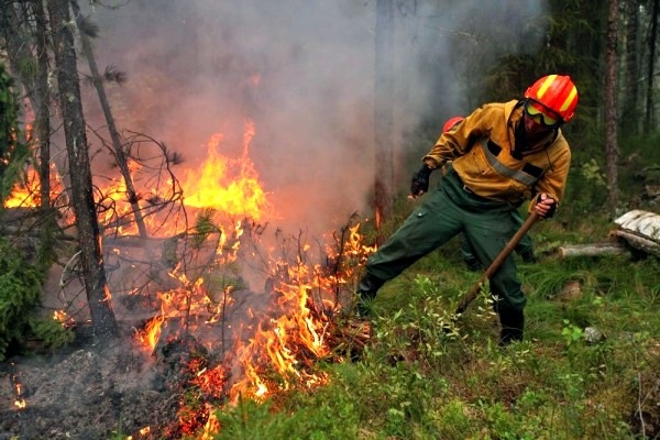 В Якутии локализовано три лесных пожара
